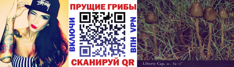 Псилоцибиновые грибы MAGIC MUSHROOMS  mega онион  Жиздра 